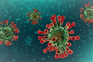 Coronavirus img.jpg